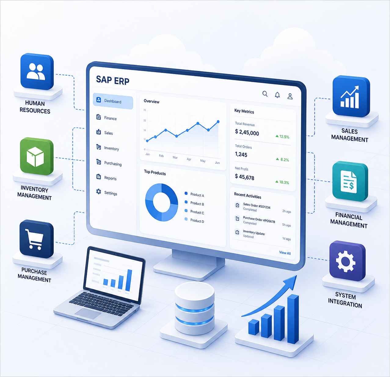 SAP ERP2